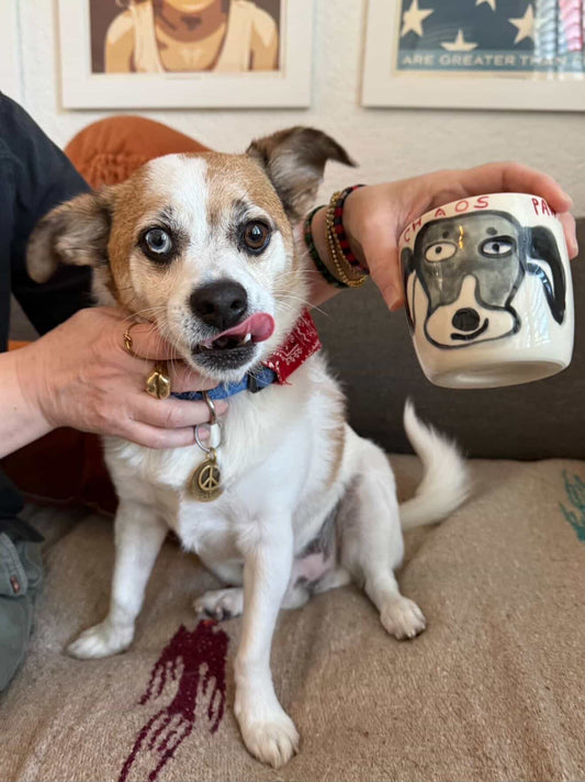 Custom Pet Mug